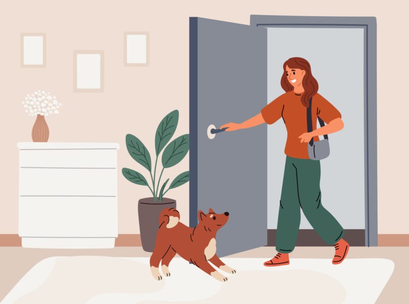 Comportamento calmo dos tutores facilita adaptação dos cachorros à solidão, concluiu estudo