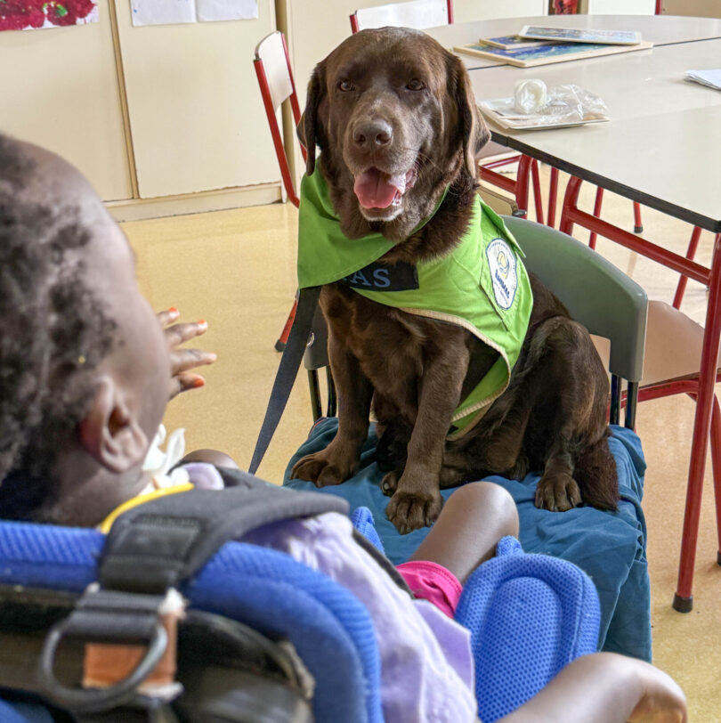 Elanco reforça apoio a terapias assistidas por cães para pessoas vulneráveis
