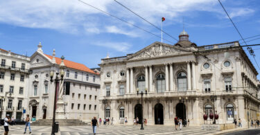 Lisboa continua sem Médico Veterinário Municipal, alerta Provedoria dos Animais