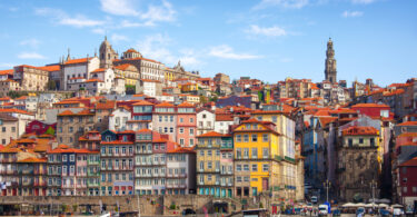 Porto recebe o Congresso Europeu de Medicina Dentária Veterinária em maio