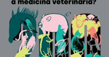 VETERINÁRIA ATUAL assinala edição 200 com reflexão sobre a medicina veterinária