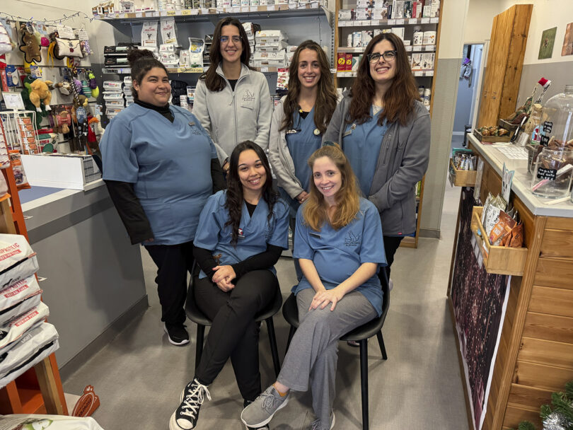 Centro Veterinário da Aroeira: Onde os animais de companhia se sentem em família