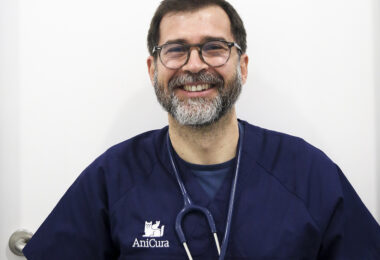A veterinária e a oncologia veterinária “ainda são áreas órfãs em termos de subsídios e de sensibilização para a investigação”