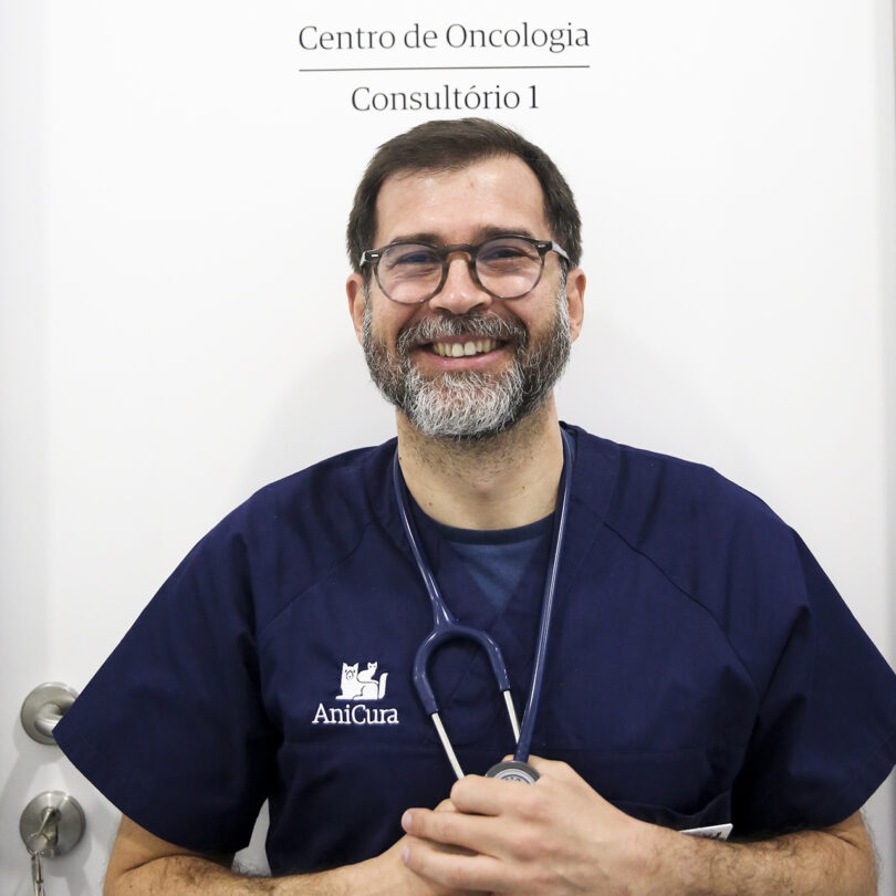 A veterinária e a oncologia veterinária “ainda são áreas órfãs em termos de subsídios e de sensibilização para a investigação”