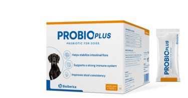 Bioiberica lança ProbioPlus® para reforçar a saúde digestiva e imunitária dos cães