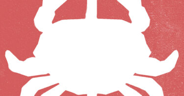 Oncologia veterinária: da abordagem paliativa à medicina de precisão