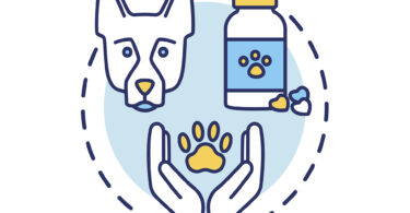 Rede Vet-OncoNet: Conhecer a realidade da oncologia veterinária a bem da saúde dos animais, dos humanos e do planeta