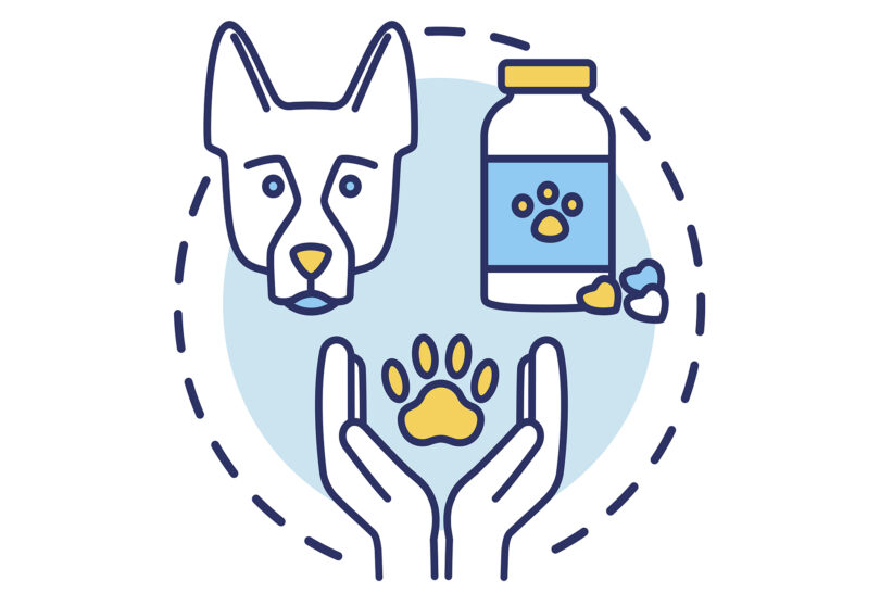 Rede Vet-OncoNet: Conhecer a realidade da oncologia veterinária a bem da saúde dos animais, dos humanos e do planeta