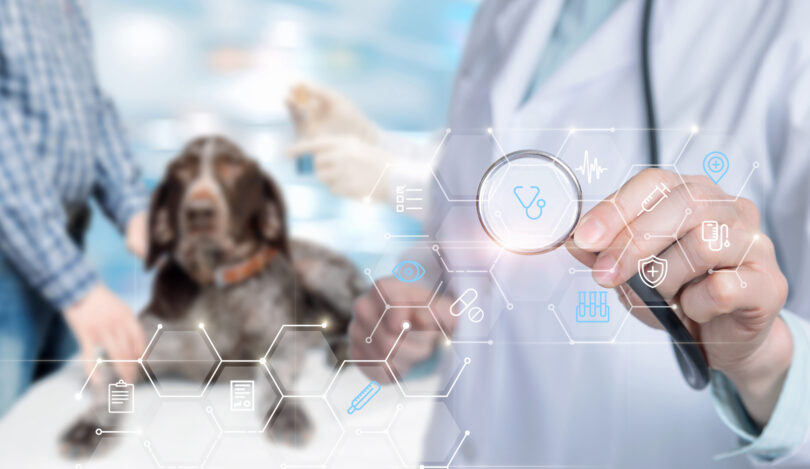 IA na veterinária exige supervisão humana e enquadramento ético, alertam veterinários espanhóis