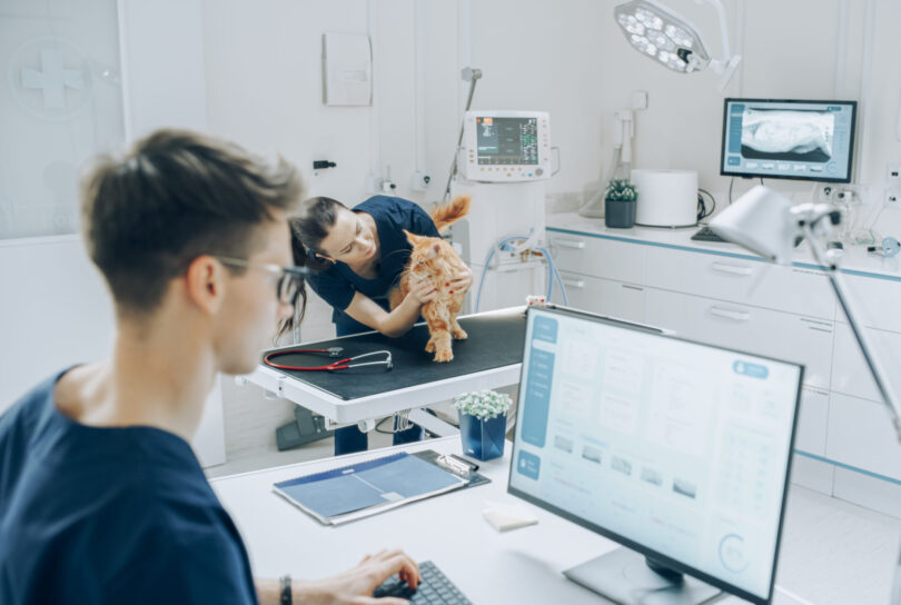 Conheça os 12 CAMVs distinguidos pela qualidade do serviço e satisfação dos clientes