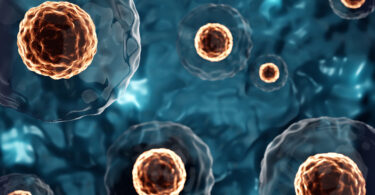 Terapia com células estaminais caminha para se tornar padrão na medicina veterinária