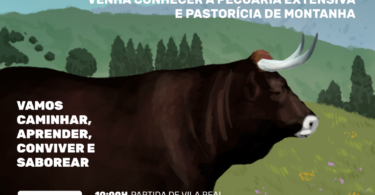 APEZ assinala Dia do Zootécnico com iniciativa dedicada à pecuária extensiva