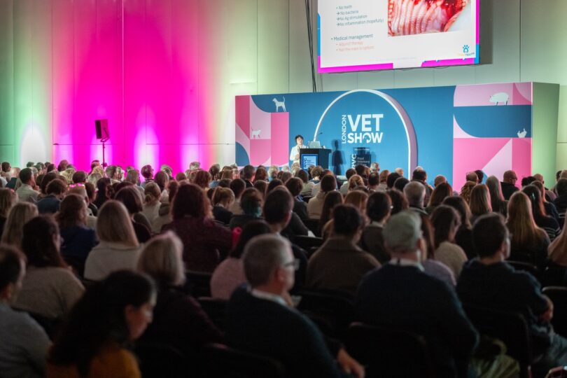 Congresso veterinário europeu volta a Londres com foco na inovação e prática veterinária