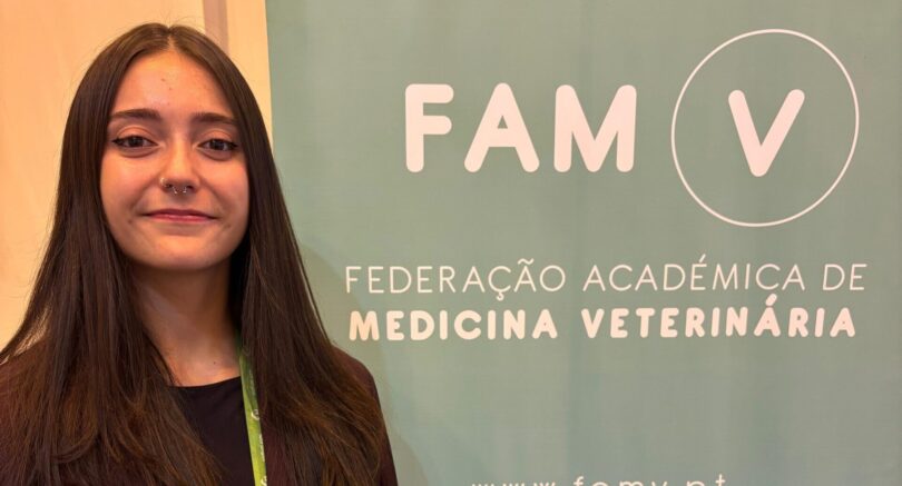 Patrícia Luís: “Existe um grande desamparo dos estudantes quando vão para o mercado de trabalho”