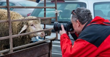 Zootécnicos desafiados a retratar a atividade no terreno em concurso fotográfico