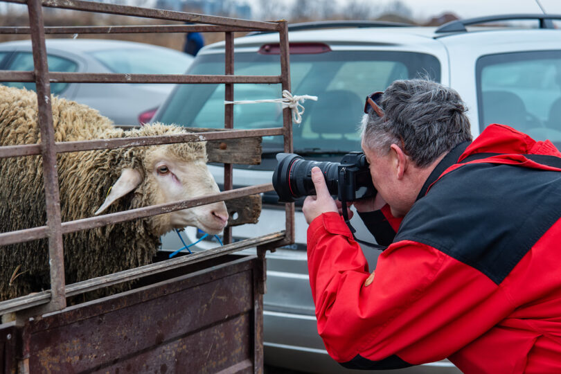 Zootécnicos desafiados a retratar a atividade no terreno em concurso fotográfico