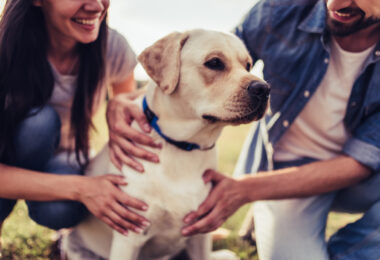 Mercado de animais de companhia cresce, mas não acompanha evolução do consumidor