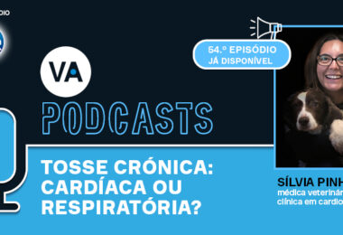 Tosse crónica: cardíaca ou respiratória?