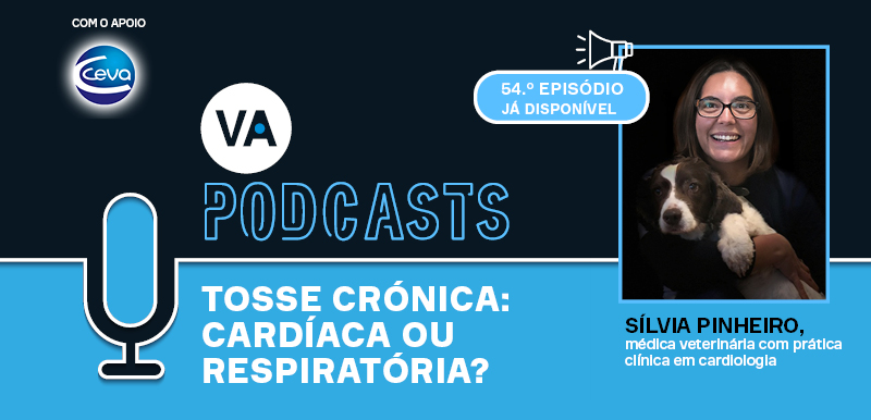 Tosse crónica: cardíaca ou respiratória?