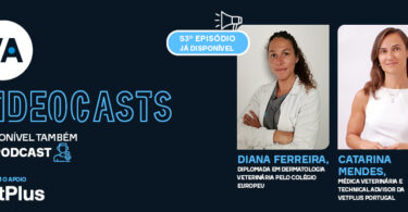 Os erros mais comuns em dermatologia veterinária