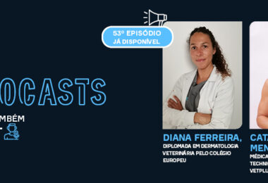 Os erros mais comuns em dermatologia veterinária