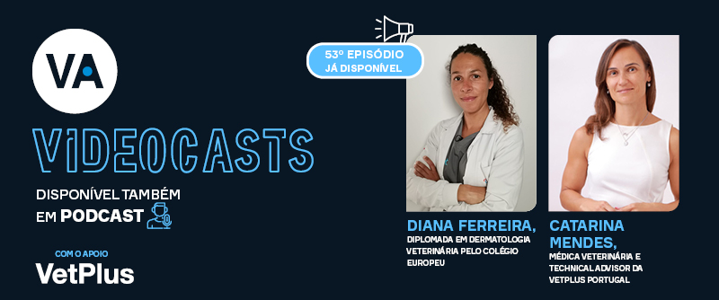 Os erros mais comuns em dermatologia veterinária