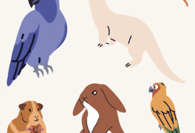 APMVEAC dedica novos grupos a animais exóticos e raças de conformação morfológica extrema
