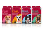Campifarma lança novo desparasitante externo para cães