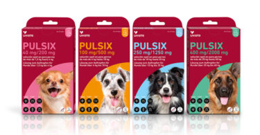 Campifarma lança novo desparasitante externo para cães