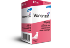 Elanco introduz em Portugal suspensão oral para gatos com anemia associada a doença renal crónica