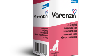 Elanco introduz em Portugal suspensão oral para gatos com anemia associada a doença renal crónica