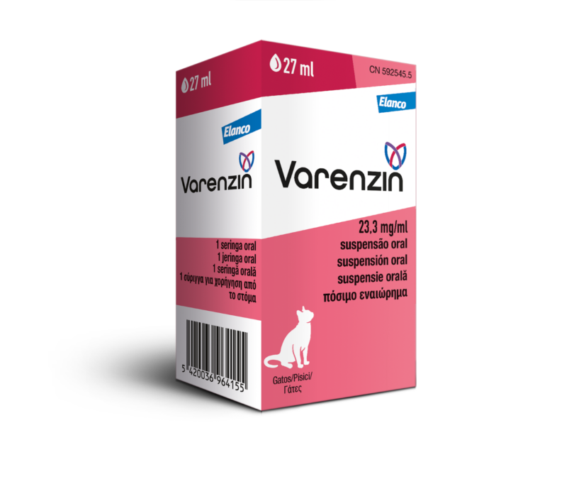 Elanco introduz em Portugal suspensão oral para gatos com anemia associada a doença renal crónica