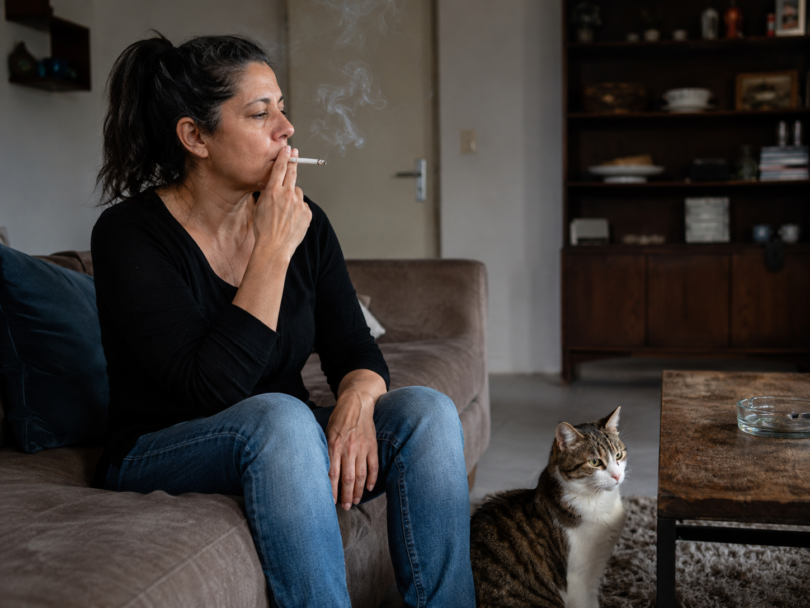 Tabagismo passivo deve integrar avaliação clínica de cães e gatos, defende AniCura