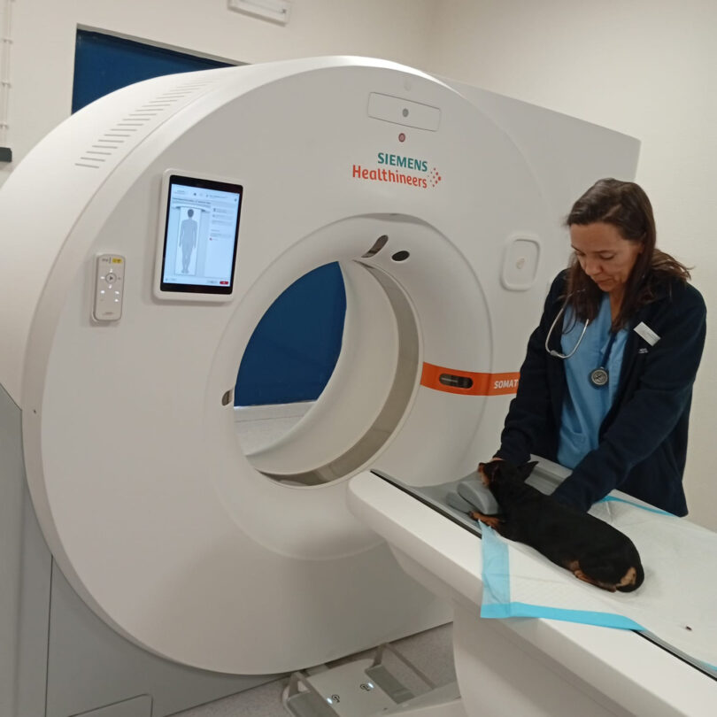 Hospital Veterinário da Universidade de Évora inaugura novo aparelho de TAC