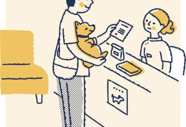 Preços e métodos de pagamento dos serviços veterinários: Que tendências?