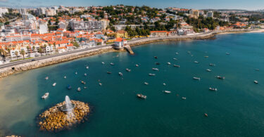 Oeiras é o primeiro município distinguido com o selo Pet Friendly em Portugal