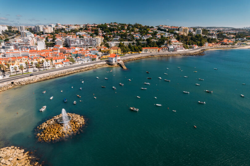 Oeiras é o primeiro município distinguido com o selo Pet Friendly em Portugal
