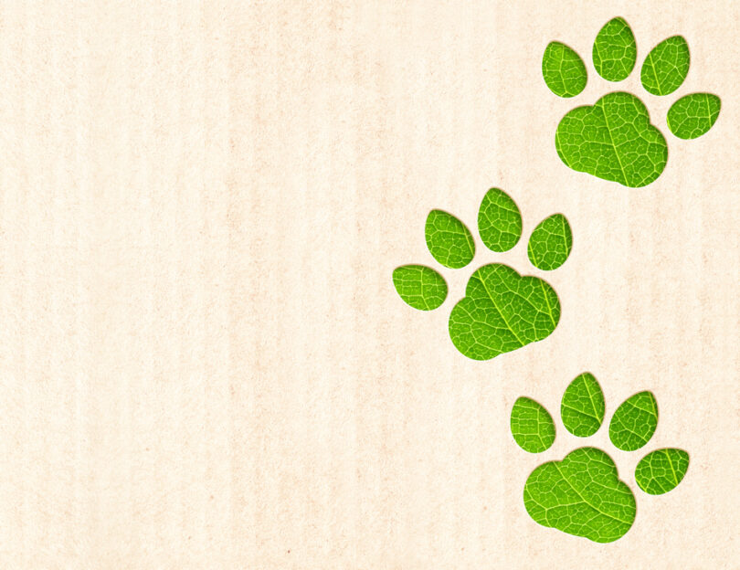Sustentabilidade integra estratégia de 56% das empresas do setor pet, indica relatório