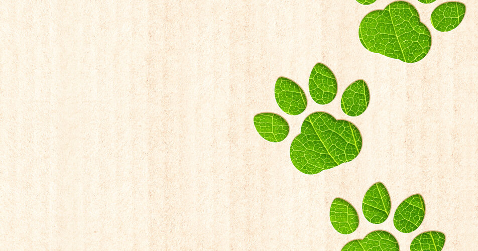 Sustentabilidade integra estratégia de 56% das empresas do setor pet, indica relatório