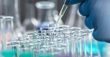 Foi criado um banco de amostras para estudar o microbioma em cães e gatos com cancro