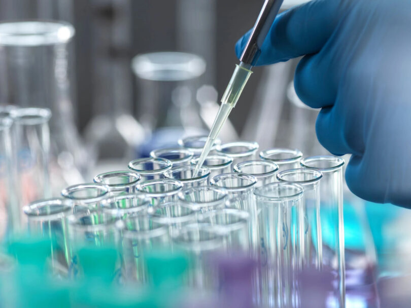 Foi criado um banco de amostras para estudar o microbioma em cães e gatos com cancro