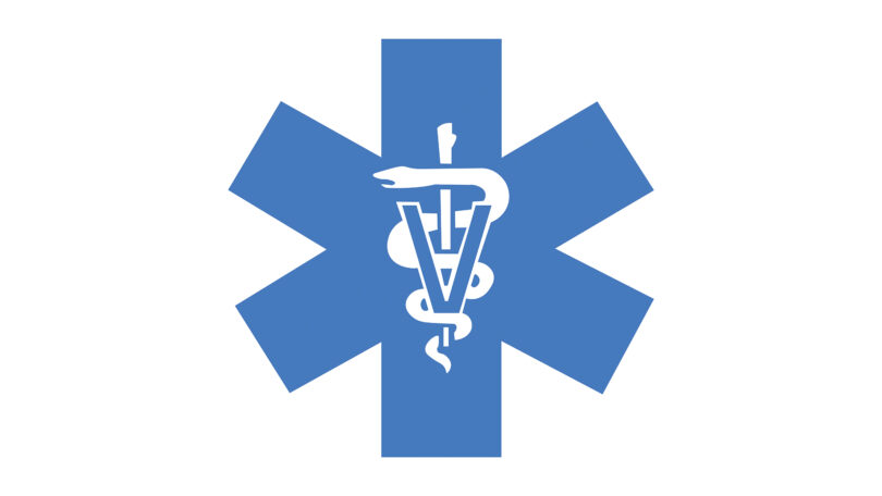 HEV organiza Dia Aberto dedicado às Urgências em Medicina Veterinária a 8 de maio