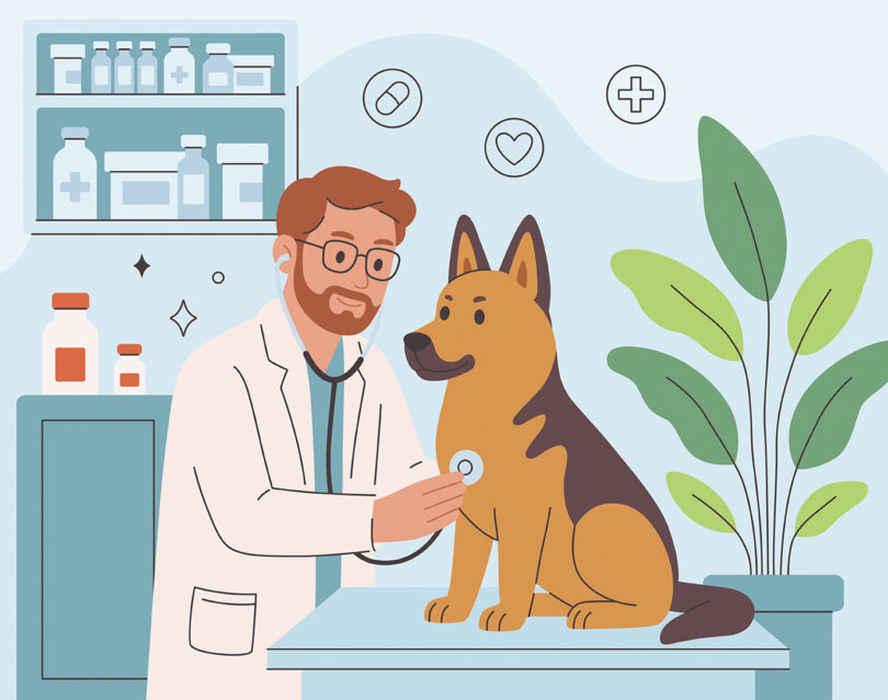 EBVS dá primeiro passo na criação do Colégio Europeu de Cuidados Primários Veterinários