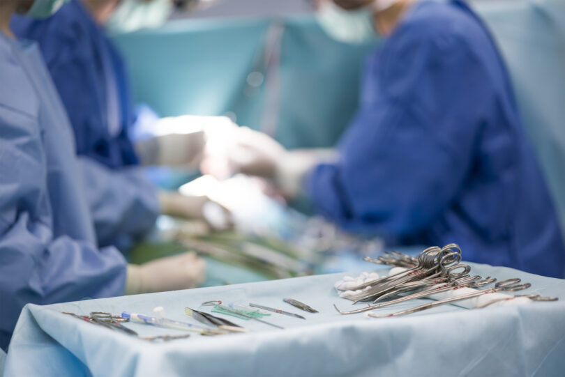 Urgências veterinárias em horário laboral levantam discussão sobre enquadramento legal