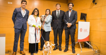 Hospital de Cascais recebe cães resgatados em programa de apoio a doentes