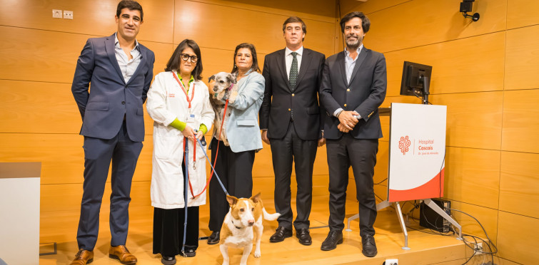 Hospital de Cascais recebe cães resgatados em programa de apoio a doentes