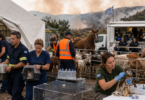 Grécia cria mecanismo nacional para proteger animais em situações de desastre