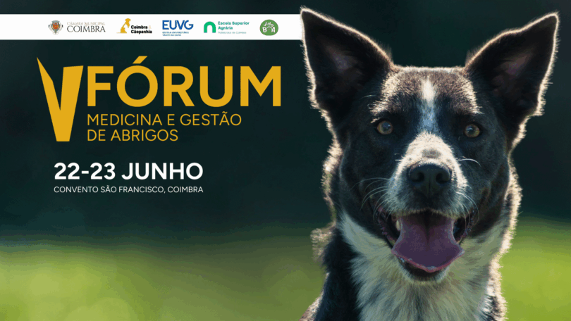 V Fórum Medicina e Gestão de Abrigos