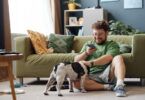 Redes sociais podem normalizar sinais de stress em animais de companhia, alerta Associação
