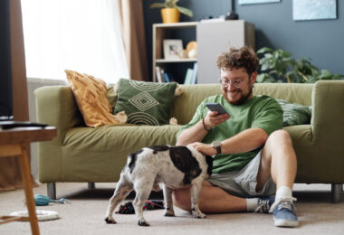 Redes sociais podem normalizar sinais de stress em animais de companhia, alerta Associação
